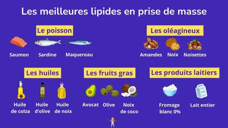 meilleures sources de lipides en prise de masse