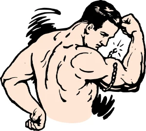 illustration du curl biceps