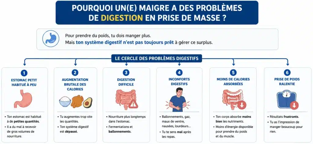 les causes des problèmes de digestion en prise de masse